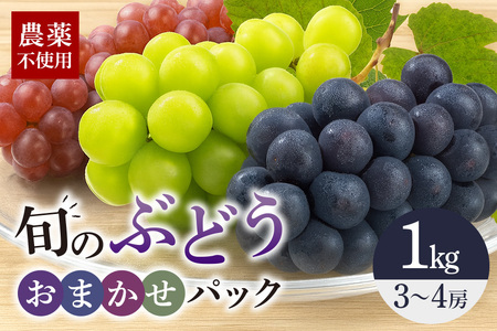 旬のぶどうお任せパック(種あり) 1kg A14-017
