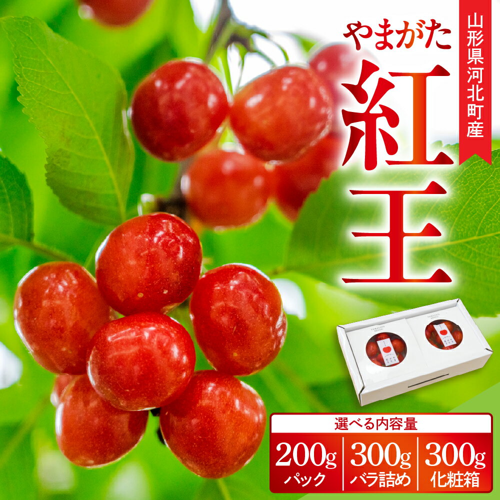 【ふるさと納税】【令和8年産】さくらんぼ やまがた紅王 ( 選べる: 200g パック / 300g バラ詰め /300g 化粧箱 ) 楽天限定 手詰め 特秀品 ギフト 化粧箱 | 紅王 フルーツ くだもの 果物 サクランボ 化粧箱 贈り物 ギフト 贈答 産地直送 山形県 河北町