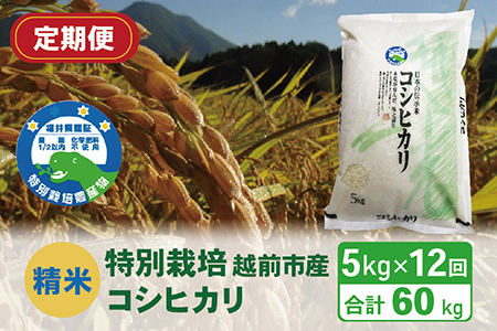 〈先行予約〉【定期便12回】（令和6年度新米 精米）特別栽培 越前市産コシヒカリ 5kg×12回