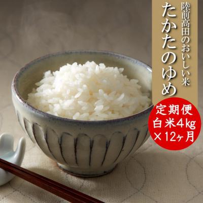ふるさと納税 陸前高田市 【12ヶ月定期便】 令和6年産 たかたのゆめ 白米 4kg×12ヶ月 (合計48kg)