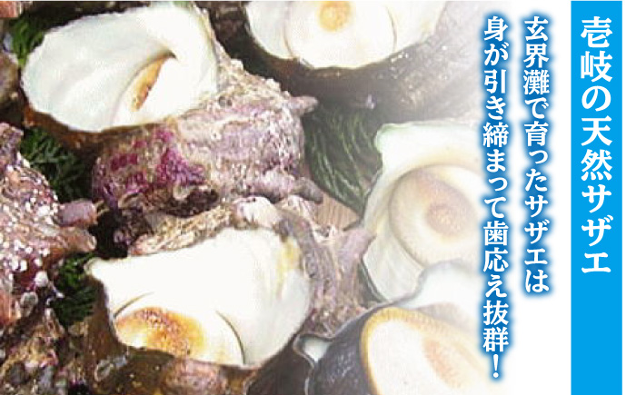サザエ 秘伝のタレ さざえ つぼ焼き 《壱岐市》【天下御免】[JDB002] 15000 15000円