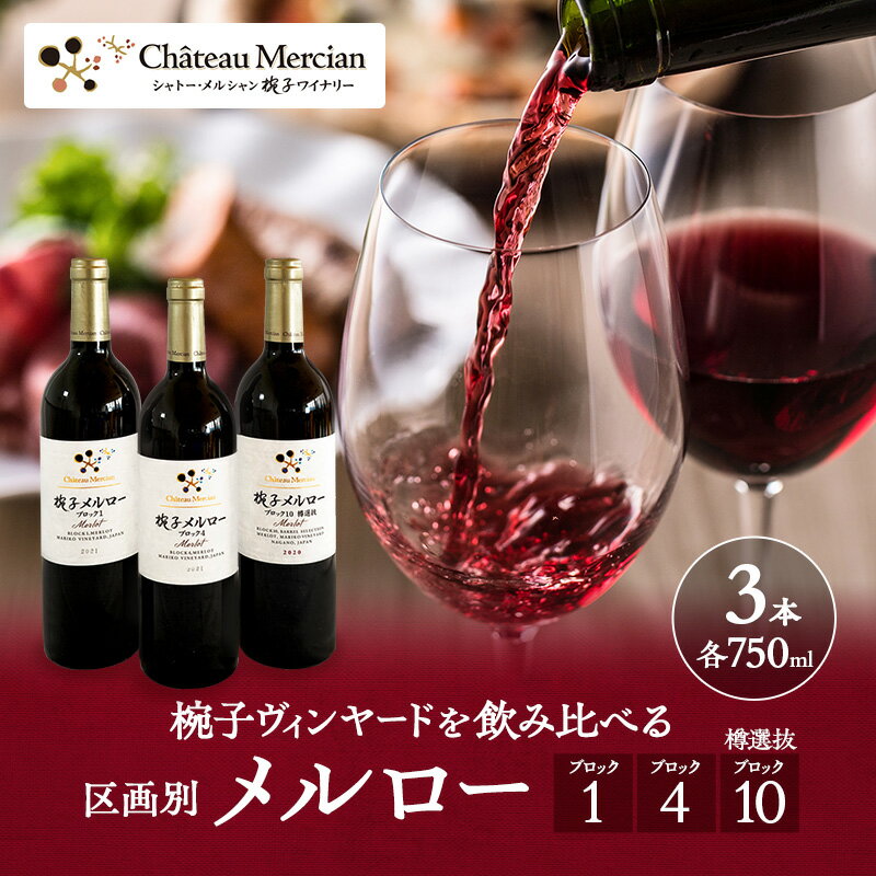 【ふるさと納税】限定 年ヴィンテージの限定品区画別メルロー 3本 セット メルロー 750ml 赤ワイン お酒 酒 アルコール 飲み比べセット ギフト 贈り物 プレゼント　お届け：30日以内に発送いたします