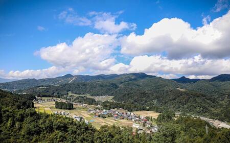 【2025年産 】【12ヶ月定期便】10kg(10kg×1袋) 県認証魚沼産コシヒカリ |津南町 コシヒカリ 定期便