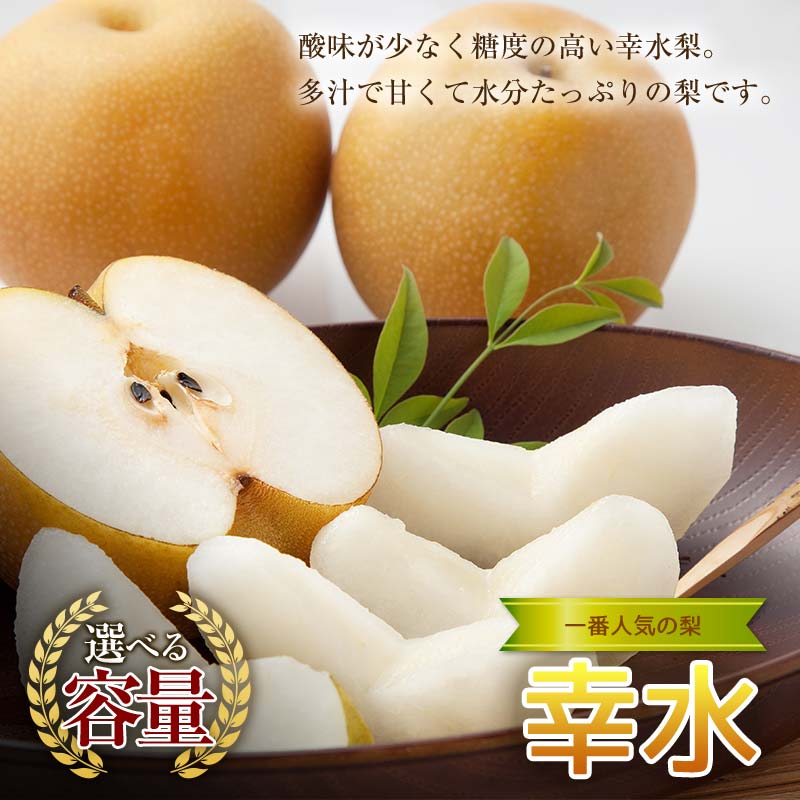 【ふるさと納税】【容量が選べる！】《2027年秋出荷》一番人気の梨 幸水 梨 先行予約 なし 果物 くだもの デザート ギフト ナシ 甘い 福島県 白河市 F24R-118var