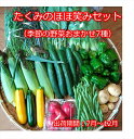 【ふるさと納税】たくみのほほ笑みセット（季節の野菜おまかせ7種）＜出荷開始：2024年7月1日～2024年 12月22日まで＞　高原野菜　レシピ【 野菜 長野県 佐久市 】