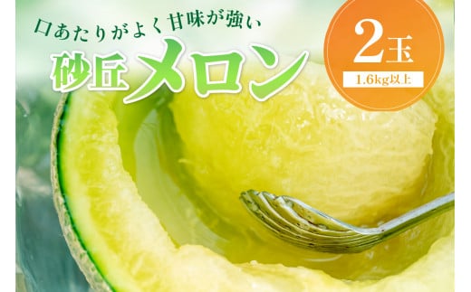 【先行予約／数量限定450】京丹後産 砂丘メロン 大玉2L以上 2玉（2026年7月下旬～発送）　国産 高級メロン めろん 贈答 贈答品 贈り物 ふるさと納税 メロン 青肉 ふるさと納税 先行予約 期間限定 ふるさと 納税 フルーツ くだもの 果物 箱　HF00012