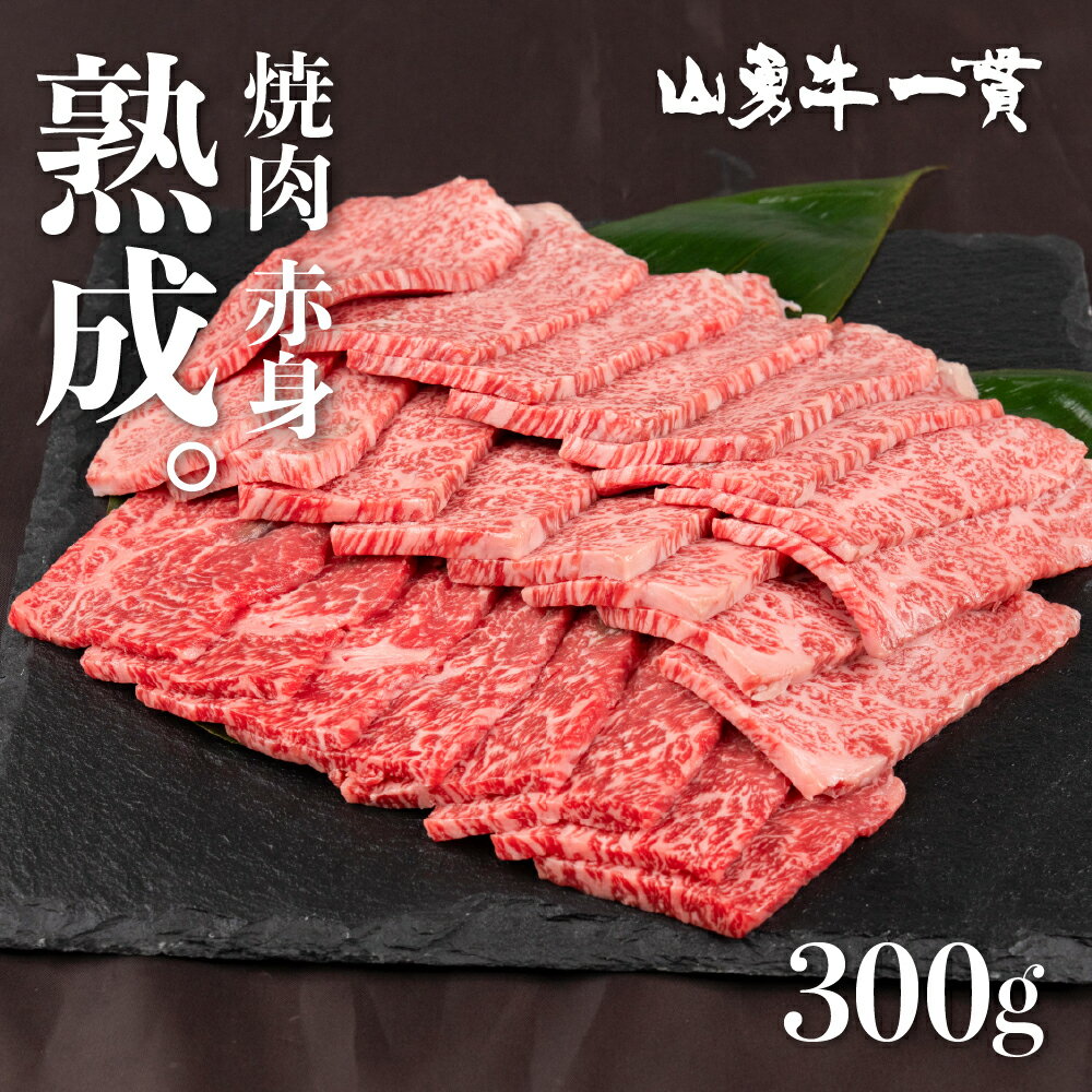 【ふるさと納税】飛騨の牧場で育った熟成飛騨牛『山勇牛』 赤身 焼肉用 300g／500g A4 A5 牛肉 肉 和牛 国産 飛騨牛 ［Q3222］20000円 2万円