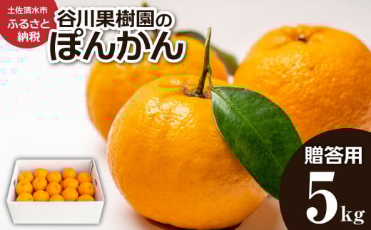 【先行予約】ぽんかん5kg（谷川果樹園）デコポンの親  みかん 蜜柑 ミカン 不知火 しらぬい 柑橘 かんきつ ポンカン フルーツ オレンジ 果物 くだもの 果汁 甘い【R01143】