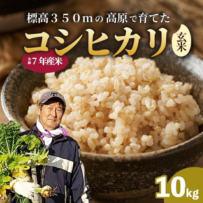【ふるさと納税】【令和7年新米】コシヒカリ 玄米 10kg 新米 コシヒカリ こしひかり ごはん お米 米 181003