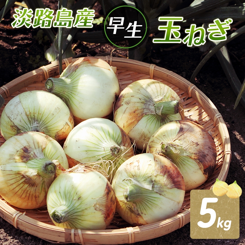 
                  ふれあい市の会 早生 玉ねぎ 5kg タマネギ オニオン 野菜 旬 甘い 淡路島 洲本市　お届け：2026年4月中旬～2026年6月中旬 [№5395-0268]
                