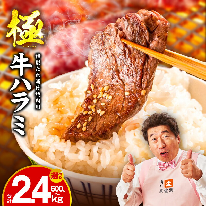 【ふるさと納税】牛肉 ハラミ 600g / 900g / 1.2kg / 1.5kg / 2.4kg 【丸善特製ダレ】 【氷温熟成×極味付け】 氷温熟成牛 熟成肉 肉 焼肉 ふるさと納税オリジナル 限定 発送月 大阪府 泉佐野市 送料無料 肉の泉佐野 圧倒的企業努力