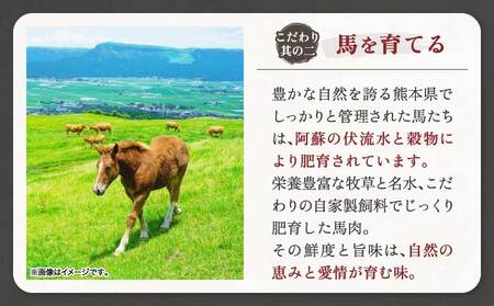 馬刺し 馬刺し赤身ユッケ 10個セット 専用たれ付