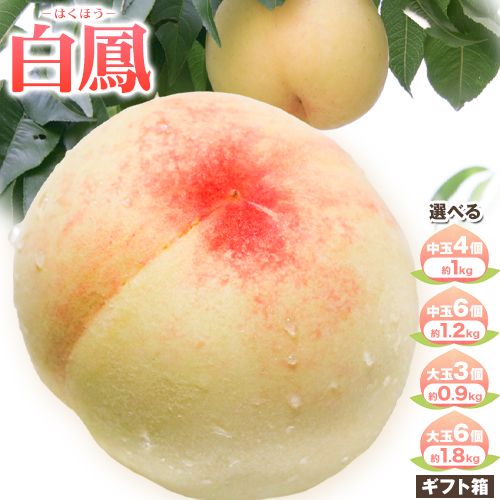 【ふるさと納税】桃 白鳳 はくほう 白桃 もも ギフト箱入り 選べる 中玉4個(約1kg) 中玉6個(約1.2kg) 大玉3個(約0.9kg) ふじまる《2025年7月上旬-7月中旬頃出荷》岡山県 笠岡市 送料無料 岡山 はくとう フルーツ 果物 デザート 旬 お取り寄せフルーツ