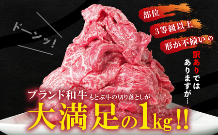 訳あり 牛肉 もとぶ牛切り落とし 1kg（500g×2P） 訳あり 牛肉