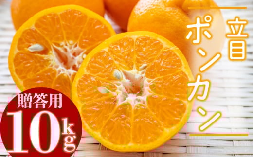 【2026年2月より発送】高知県産 立目 ぽんかん みかん 柑橘 特上品 10kg 優品 国産 ブランド 高知 ビタミン 生産者 産地 KJS027
