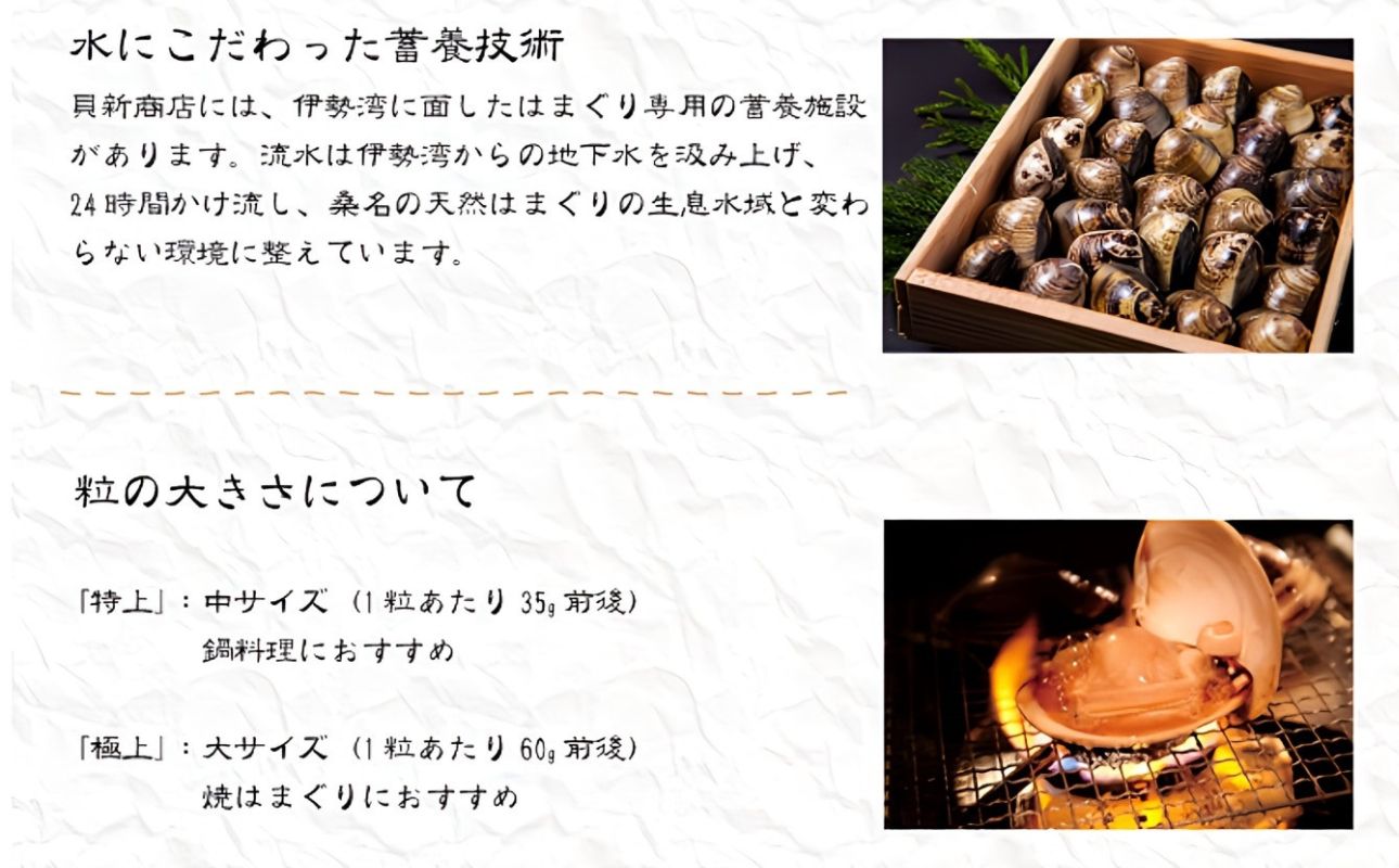 貝新畜養 活かしはまぐり （極上サイズ）2kg 木箱入りはまぐり ハマグリ 蛤