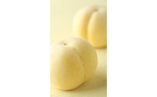 
                  岡山県産 冬桃がたり ３個入り（約600ｇ）
                