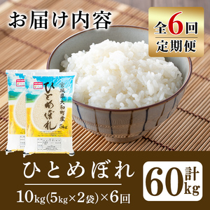 【令和8年産】＜6か月定期便＞特別栽培米 ひとめぼれ 10kg×6回(合計60kg) お米 おこめ 米 コメ 白米 ご飯 ごはん おにぎり お弁当 頒布会【農事組合法人若木の里】ta542