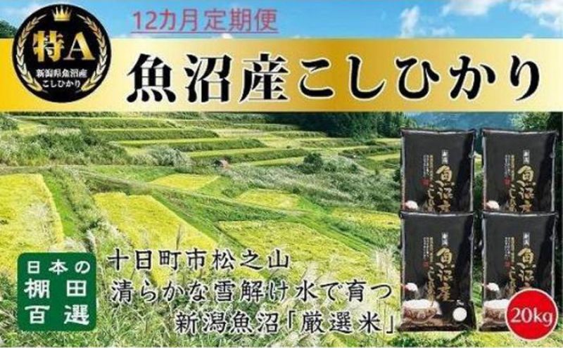 【令和8年産 先行予約】「12カ月定期便」日本棚田百選のお米 天空の里・魚沼産こしひかり 20kg（5kg×4）×12回