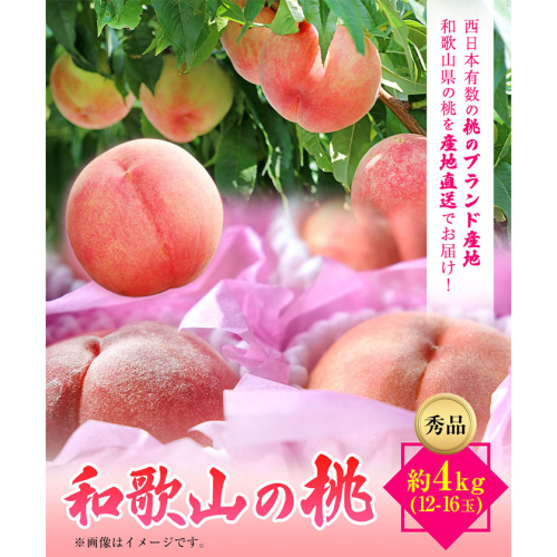 【先行予約】和歌山県産桃（もも） 約4kg 12～16玉秀品 前商店《6月中旬-8月上旬頃出荷》 和歌山県 紀の川市