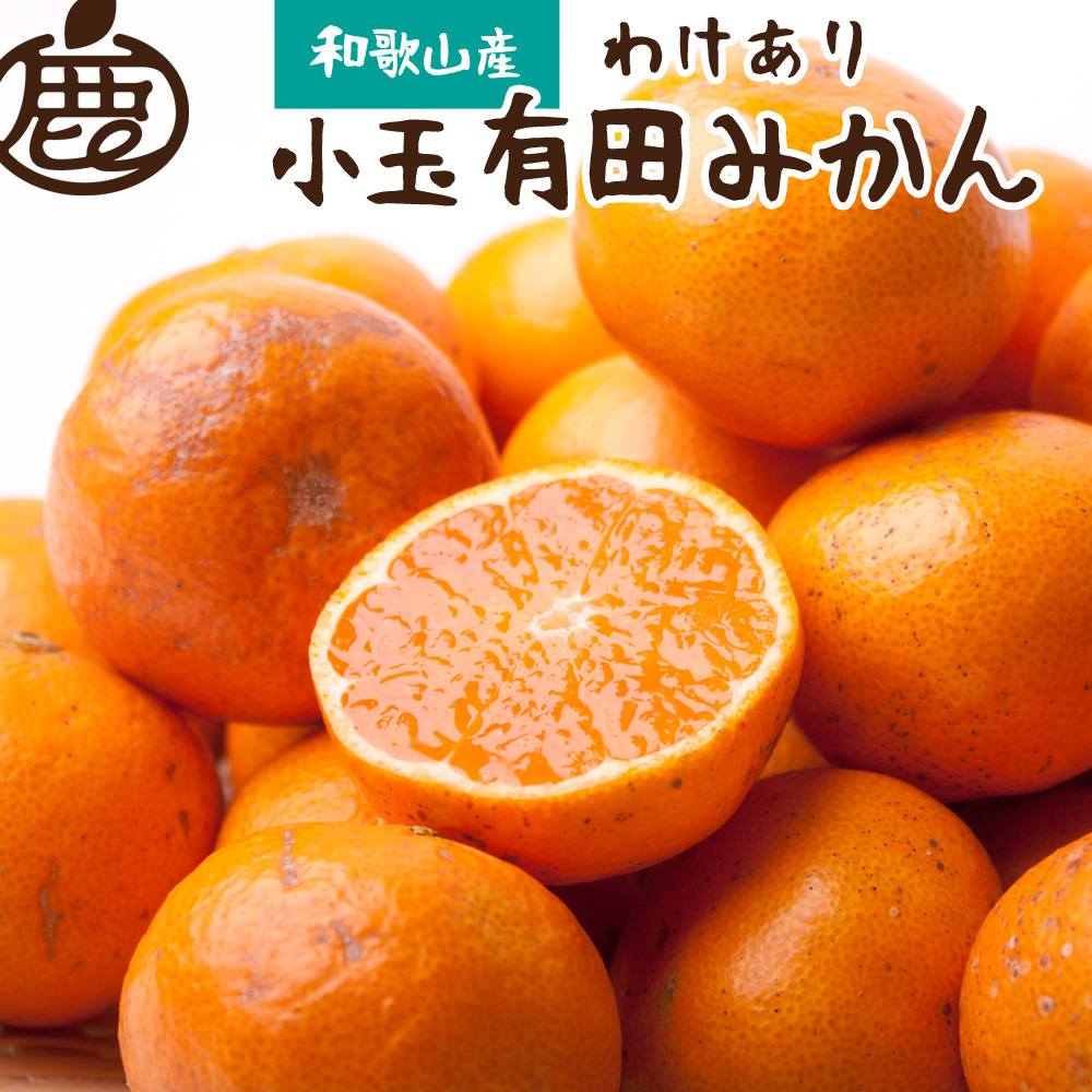 
家庭用 小玉な有田みかん5kg+150g（傷み補償分）【わけあり・訳あり】【光センサー選果】※北海道・沖縄・離島への配送不可
