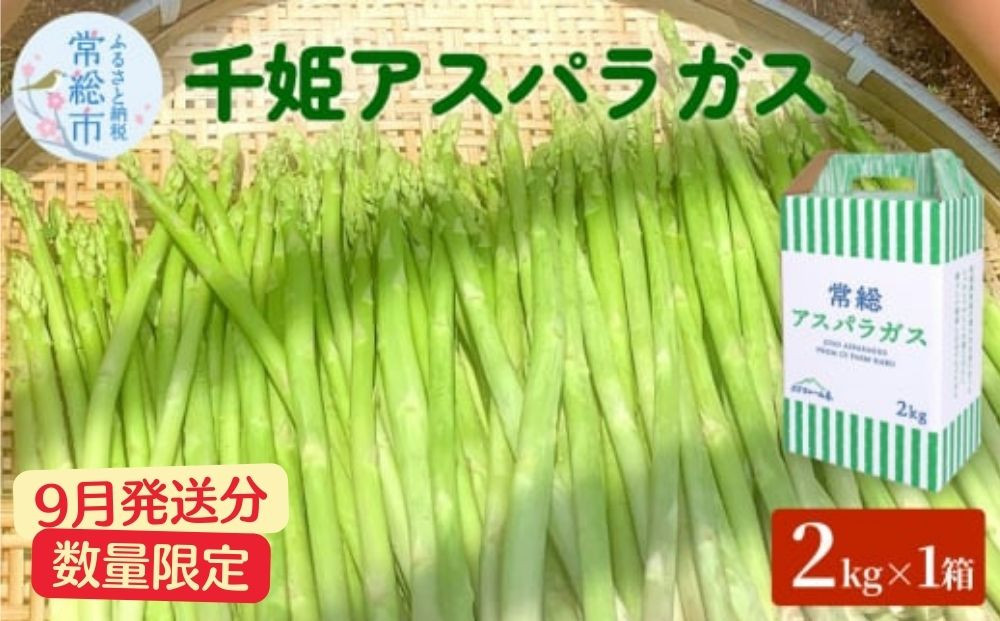 
                  【9月発送分】千姫アスパラガス 丁寧にすべてを手作業で丹精を込めて作りあげた 自信のアスパラガス  ※2026年9月～発送
                