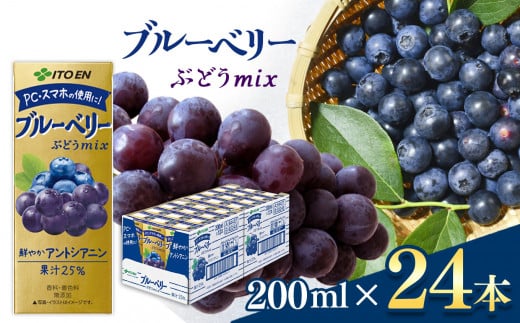 【定期便12回】紙ブルーベリーミックス200ml　24本入り 伊藤園   | ブルーベリーフルーツ ジュース ドリンク 飲料 健康 食品 長期常温可能 1ケース 長野県 松本市 ふるさと納税