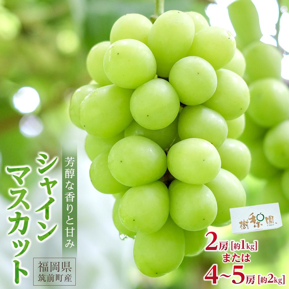 【ふるさと納税】【2026年先行予約】シャインマスカット＜筑前町産＞【1kg～2kgまでの内容量が選択可能】 | シャインマスカット マスカット ぶどう 葡萄 くだもの 贈答 おすすめ 期間限定 人気 数量限定 先行予約 送料無料