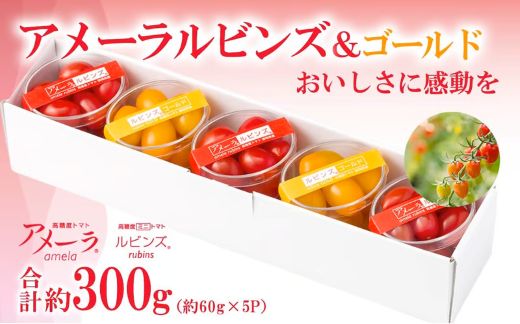 B51アメーラルビンズ＆ルビンズゴールド　5パック入り