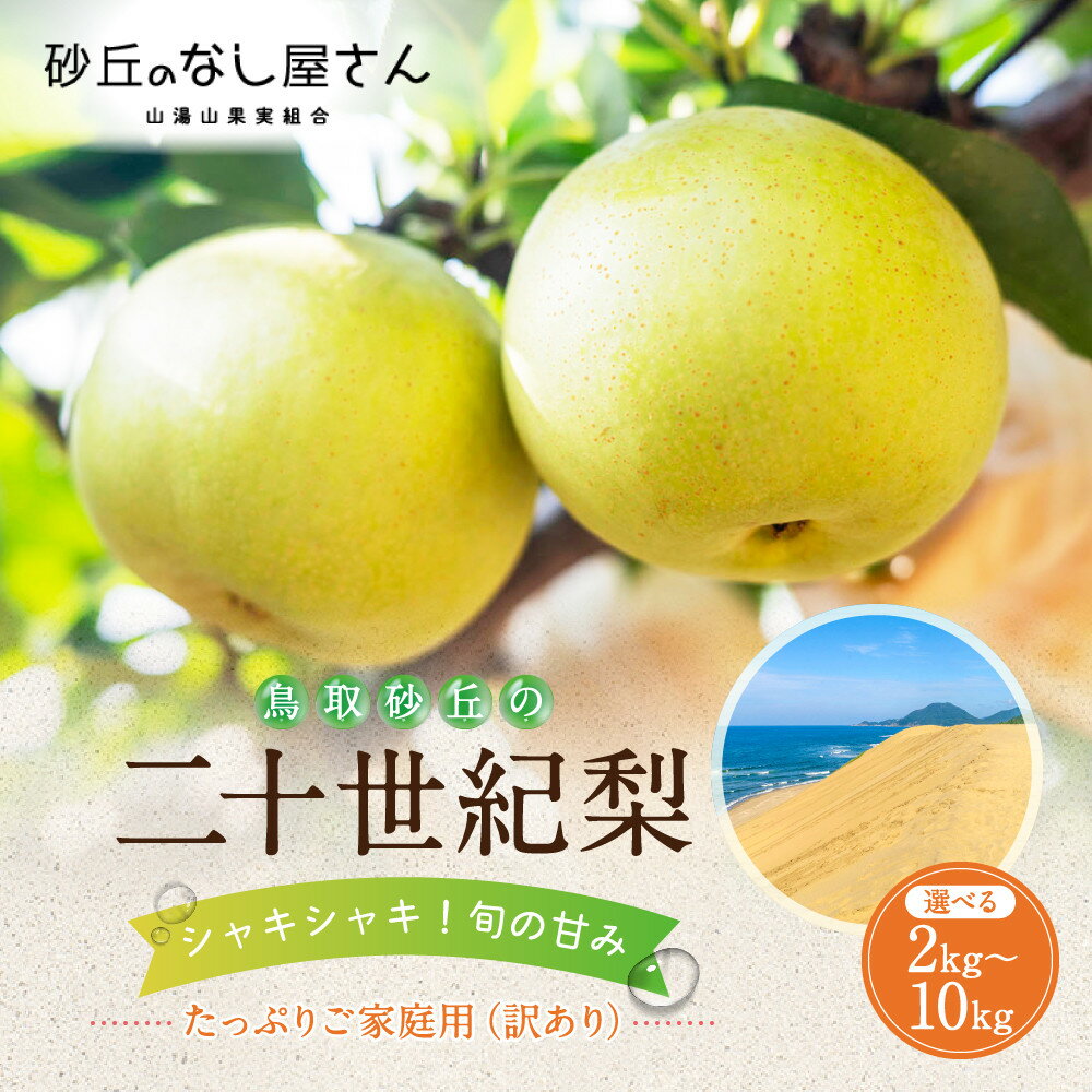 【ふるさと納税】【選べる内容量】二十世紀梨 訳あり 2kg 3kg 10kg (砂丘のなし屋さん) | 鳥取 訳あり 梨 なし 二十世紀 期間限定 送料無料 鳥取県 鳥取市