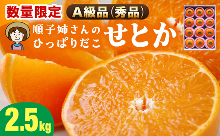 KU302 ≪数量限定・A級品≫ 順子姉さんのひっぱりだこ愛情せとか 2.5kg