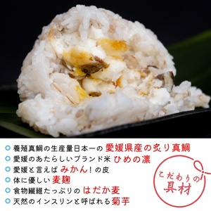 【NEXT ONE 松山市長賞受賞】 鯛むすび (愛媛 松山 鯛 鯛むすび 鯛茶漬け 鯛めし 愛媛県産 炙り 真鯛 みかん 皮 麦麹 はだか麦 菊芋 ブランド 米 ひめの凛 使用 保存料 化学調味料 