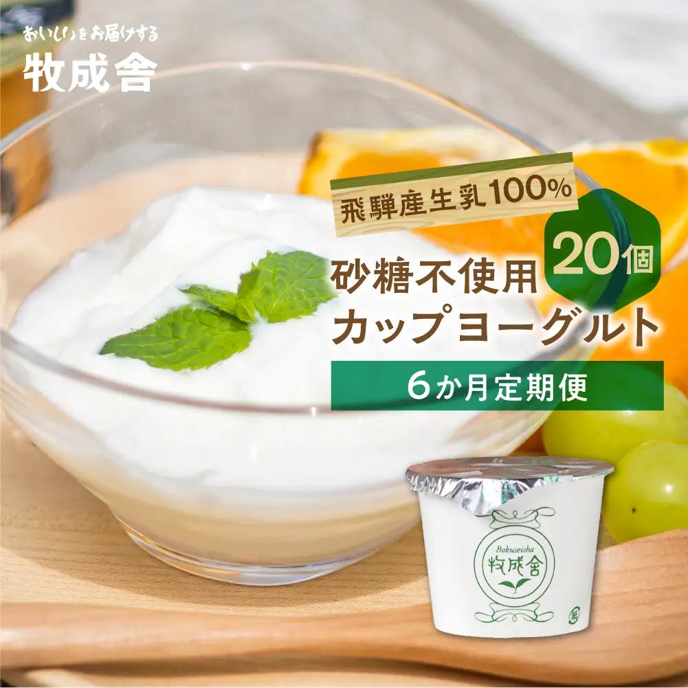 【6か月定期便】生乳100％ 砂糖不使用 プレーンヨーグルト 20個  ヨーグルト DF111