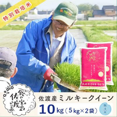 ふるさと納税 佐渡市 佐渡島産ミルキークイーン 無洗米10Kg(5Kg×2袋) 令和7年産 特別栽培米