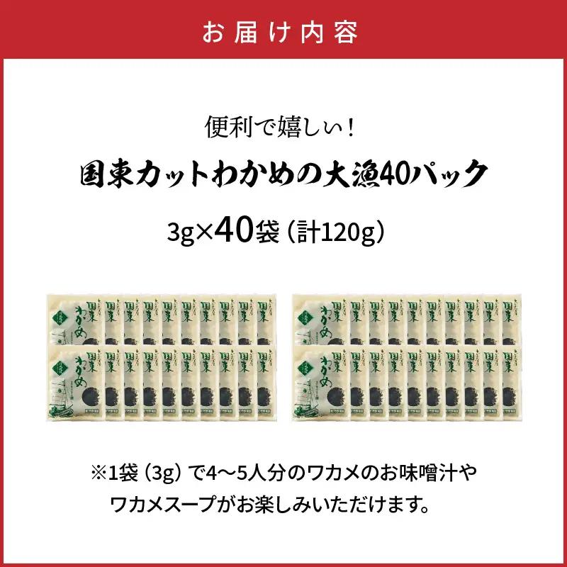 ＼テレビで紹介されました！／ 【選べる容量】便利で嬉しい！国東カットわかめの大漁パック_0005N