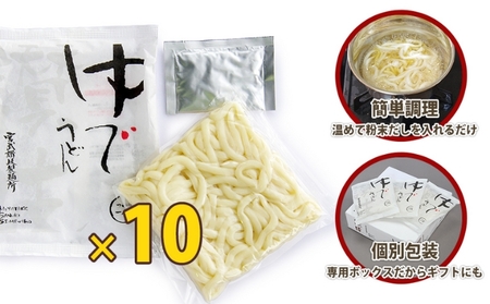 讃岐うどん ゆで麺 10人前 出汁付き うどん