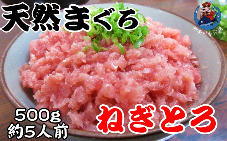 
            神奈川県漁連 天然マグロ ネギトロ（500g）お徳用　M077-011-01
          