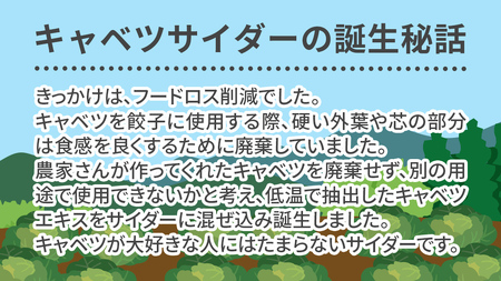 ＜10月12日受付開始＞ 【嬬恋村×このすばコラボ】キャベツサイダーこのすばバージョン4本セット （ 340ml × 4本 ） このすば コラボ キャベツ サイダー 嬬恋キャベツ 飲料 [AB087t