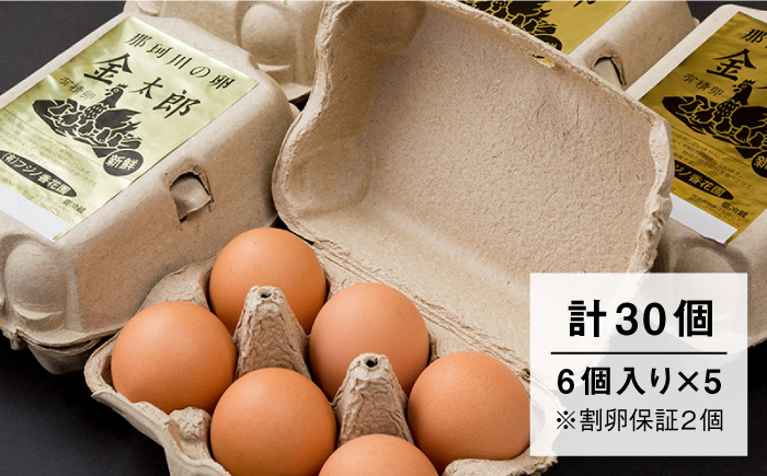 【TVで紹介！】【鮮度ＡＡ級の世界最高ランク！】金太郎卵 平飼い たまご 30個（6個×5パック）＜有限会社フジノ香花園＞那珂川市 [GAM006]