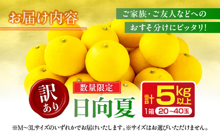 先行予約 訳あり 日向夏 計5kg以上 期間限定 数量限定 果物 フルーツ くだもの 柑橘 みかん 令和8年発送 ジュース フルーツサンド おやつ デザート 国産 食品 おすすめ バラ詰め おすそ分け