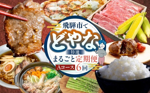 どやな飛騨市 定期便 Aコース いろいろ お届け 6ヵ月 6回   牛肉 肉 焼肉 飛騨牛 地鶏  チーズ ピザ アスパラガス 定期便 お楽しみ 6回 半年 [Q3015] 100000円 10万円  飛騨市