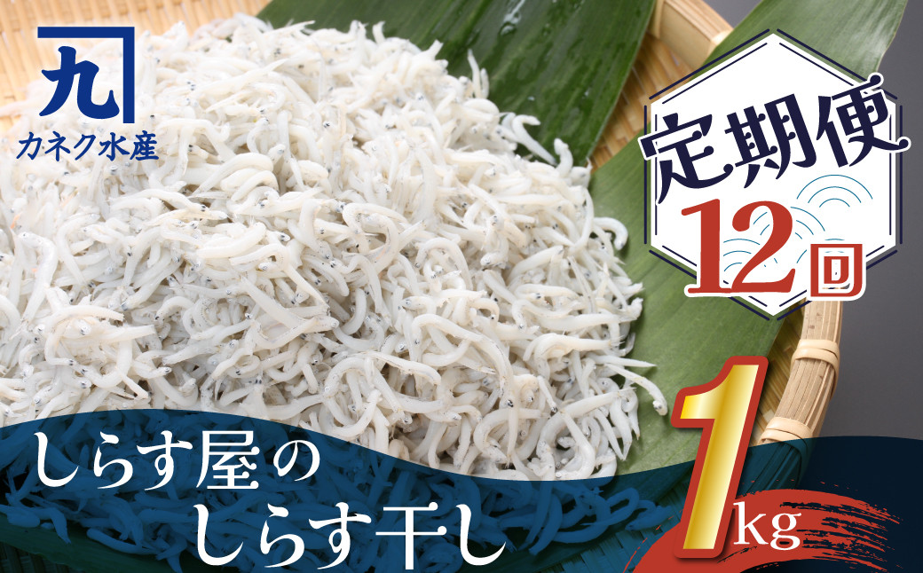 
しらす屋のしらす干し １kg×12ヶ月 定期便 魚介類 しらす シラス 国産 海の幸 ご飯のお供 おつまみ しらす丼 グルメ ギフト 贈り物 やみつき 冷凍 H006-088
