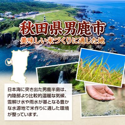 ふるさと納税 男鹿市 定期便2ヶ月令和7年産あきたこまち(精米)10kg|23_szf-011002 |  | 03