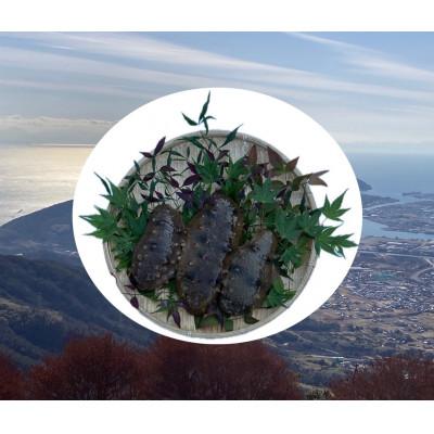 ふるさと納税 防府市 防府市産天然青なまこ1kg