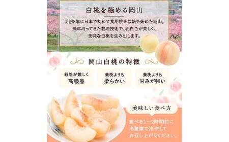 白桃 8玉（2kg以上） 等級：ロイヤル 化粧箱入り 【2026年7月上旬～8月上旬迄発送予定】 桃 モモ もも 果物 くだもの フルーツ 冷蔵 国産