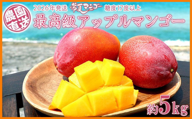 
            【2026年発送】最高級 常夏アップルマンゴー！糖度17度以上 約5kg以上農園から直送 最高級 先行予約 沖縄 甘味 糖度 濃厚 美味しい お土産 おいしい ギフト とろける甘さ 香り アーウィン 果汁 ５キロ 箱入り お取り寄せ 見た目 きれい 綺麗

          