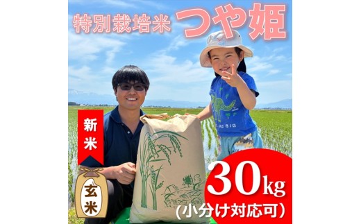 【令和8年産・玄米】ecofarmすがわらの特別栽培米つや姫30kg　※10月下旬ごろから順次発送開始