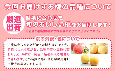 秀品 あら川の桃 約4kg