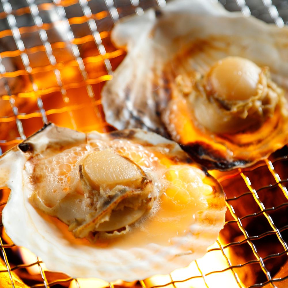 陸奥湾産冷凍ほたて片貝　10枚入り  帆立 ホタテ ほたて 青森 むつ市 貝