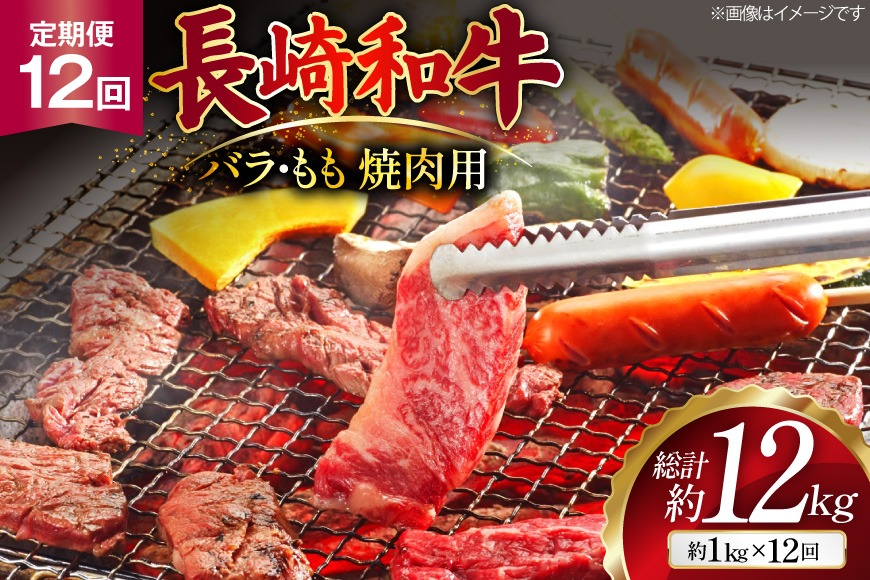 AJ573 【12回定期便】長崎和牛 焼肉セット 計約1kg バラ 霜降り(500g)・もも(500g) [ 肉 牛肉 和牛 高級 おいしい ステーキ肉 まるしん商会 黒牛 長崎県 島原市 ]